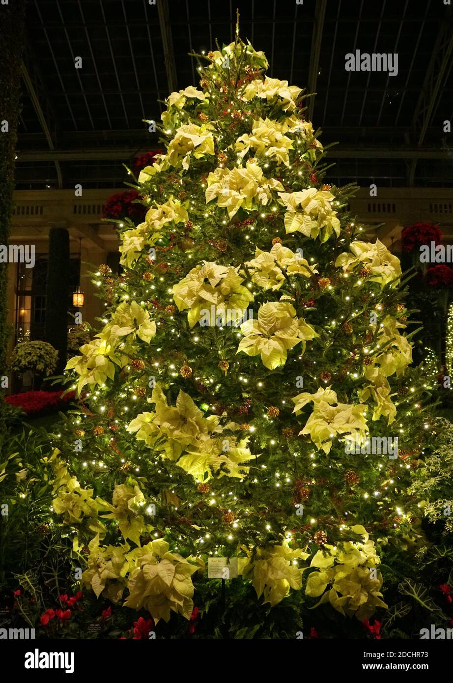 Un arbre de Noël décoré avec des ornements et des poinsettia jaunes Banque D'Images