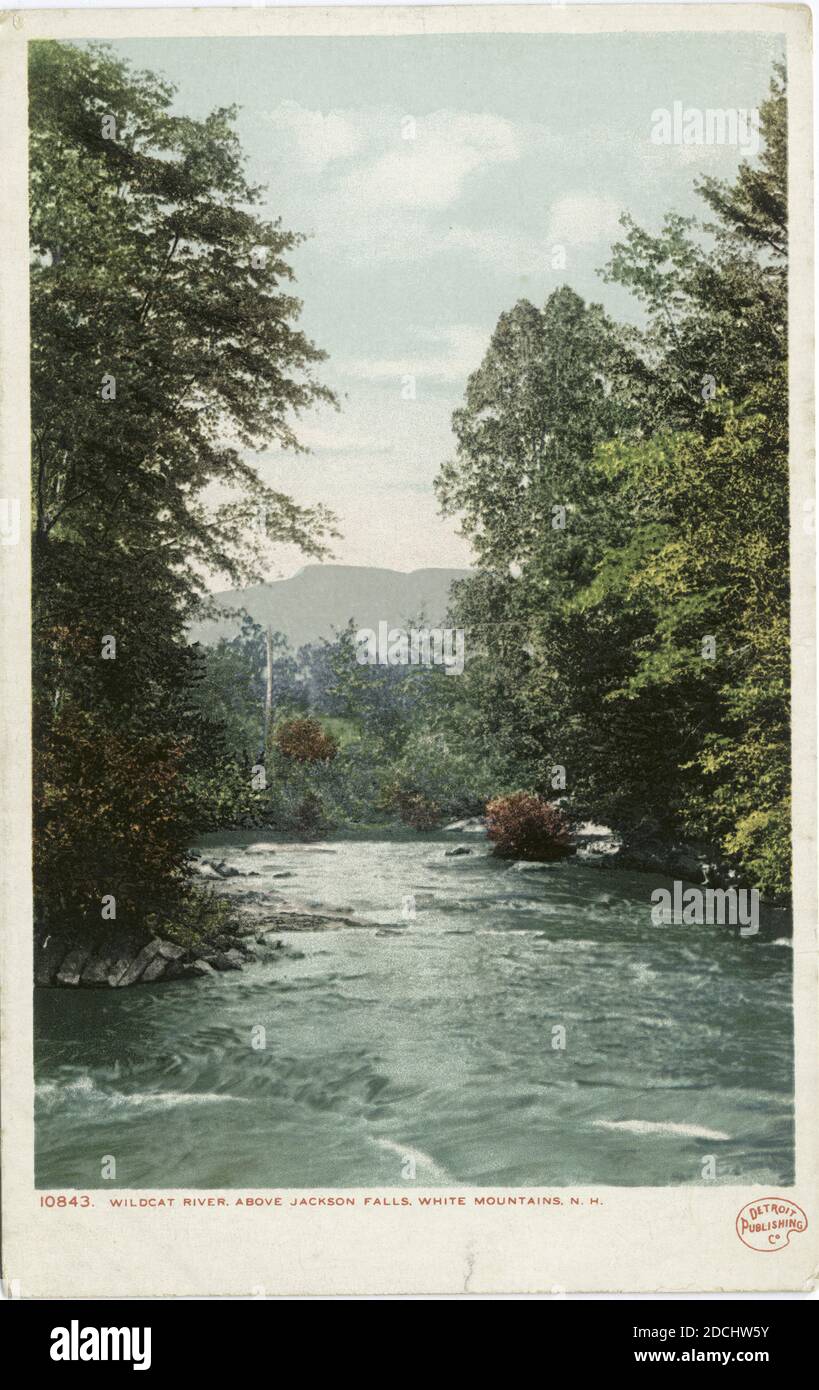 Wildcat River, au-dessus de Jackson Falls, White Mountains, N. H., photo, cartes postales, 1898 - 1931 Banque D'Images