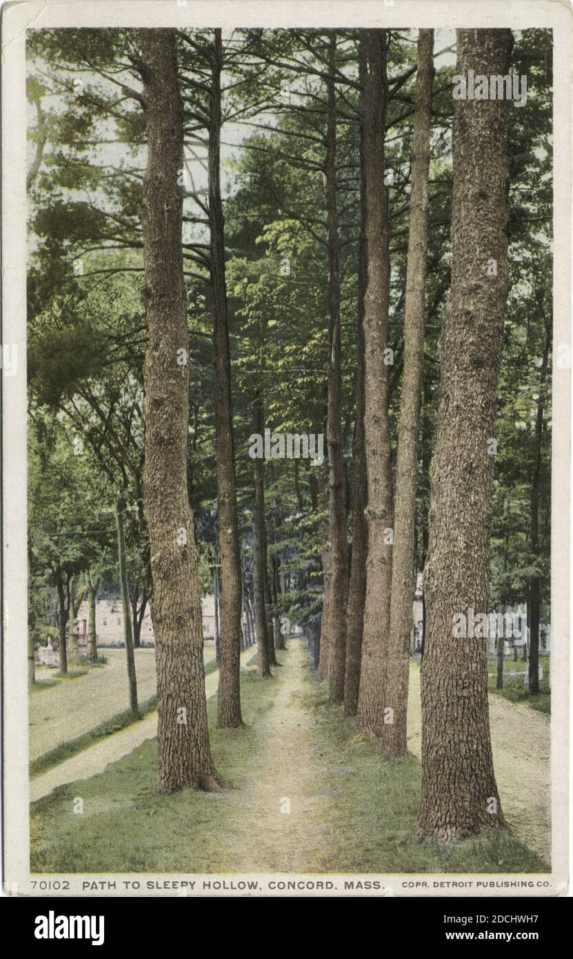 Chemin vers Sleepy Hollow, Concord, Massachusetts, image fixe, cartes postales, 1898 - 1931 Banque D'Images