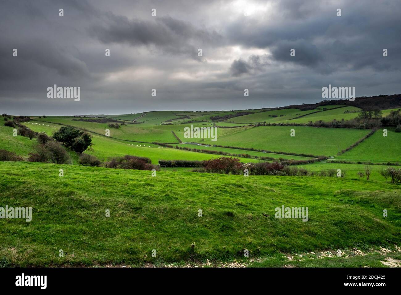 Saddlescombe, 21 novembre 2020 : vue sur South Downs à l'extérieur de Brighton Banque D'Images