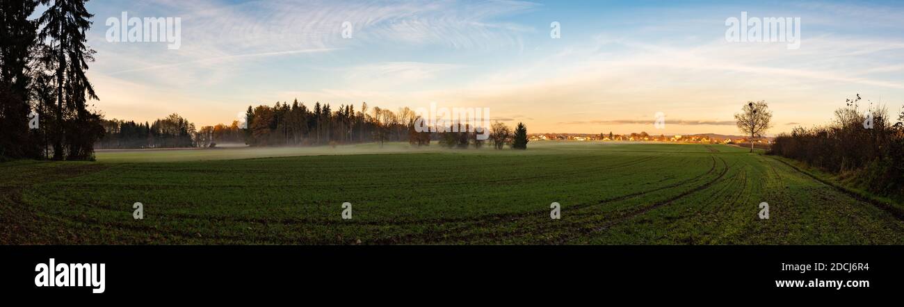 Panorama du paysage rural, chemin entre les champs agricoles. Banque D'Images