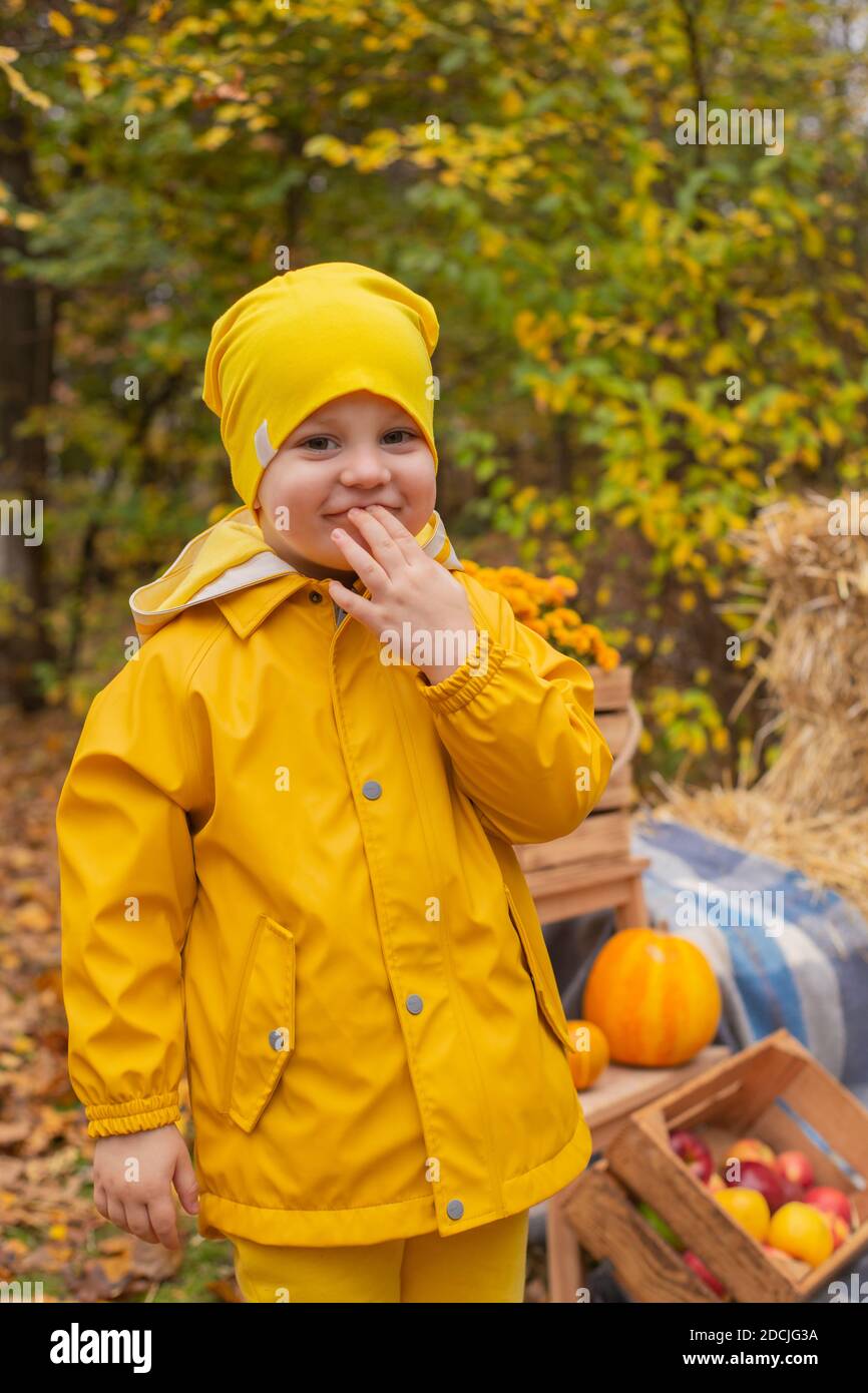 mignon beau garçon de pré-choler dans un pantalon orange, imperméable, chapeau, bottes en caoutchouc près de la zone photo de décorations d'automne - citrouilles, pommes, couvertures, foin. Banque D'Images