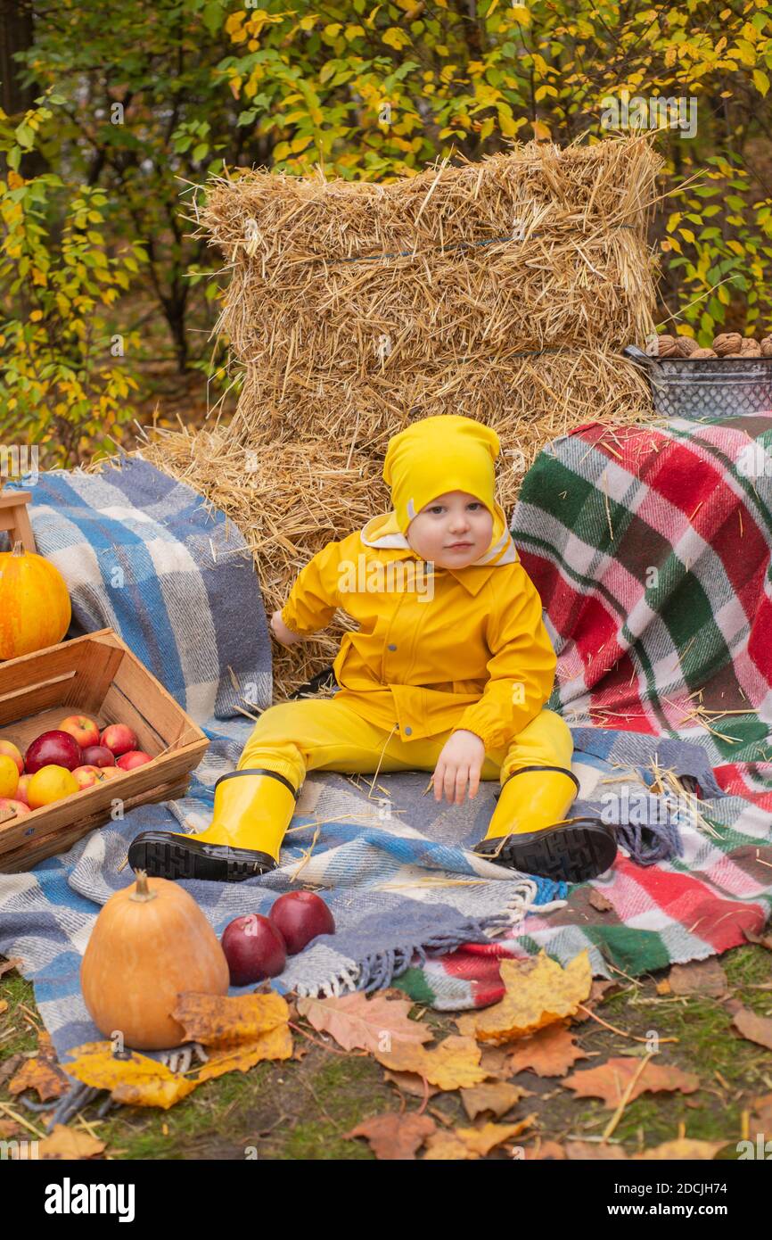 mignon beau garçon de pré-choler dans un pantalon orange, imperméable, chapeau, bottes en caoutchouc près de la zone photo de décorations d'automne - citrouilles, pommes, couvertures, foin. Banque D'Images