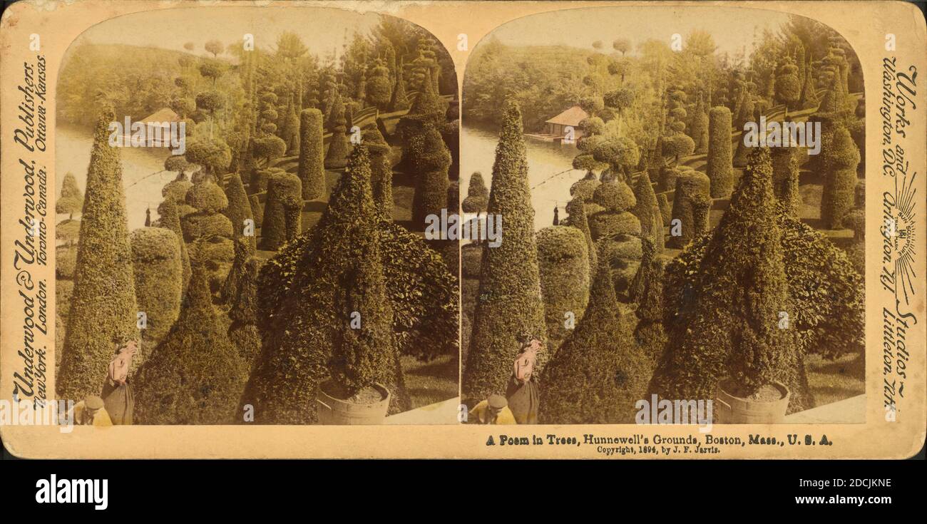 Un poème dans les arbres, Hunnewell's Ground, Wellesley, Mass., États-Unis, image fixe, stéréographes, 1850 - 1930 Banque D'Images