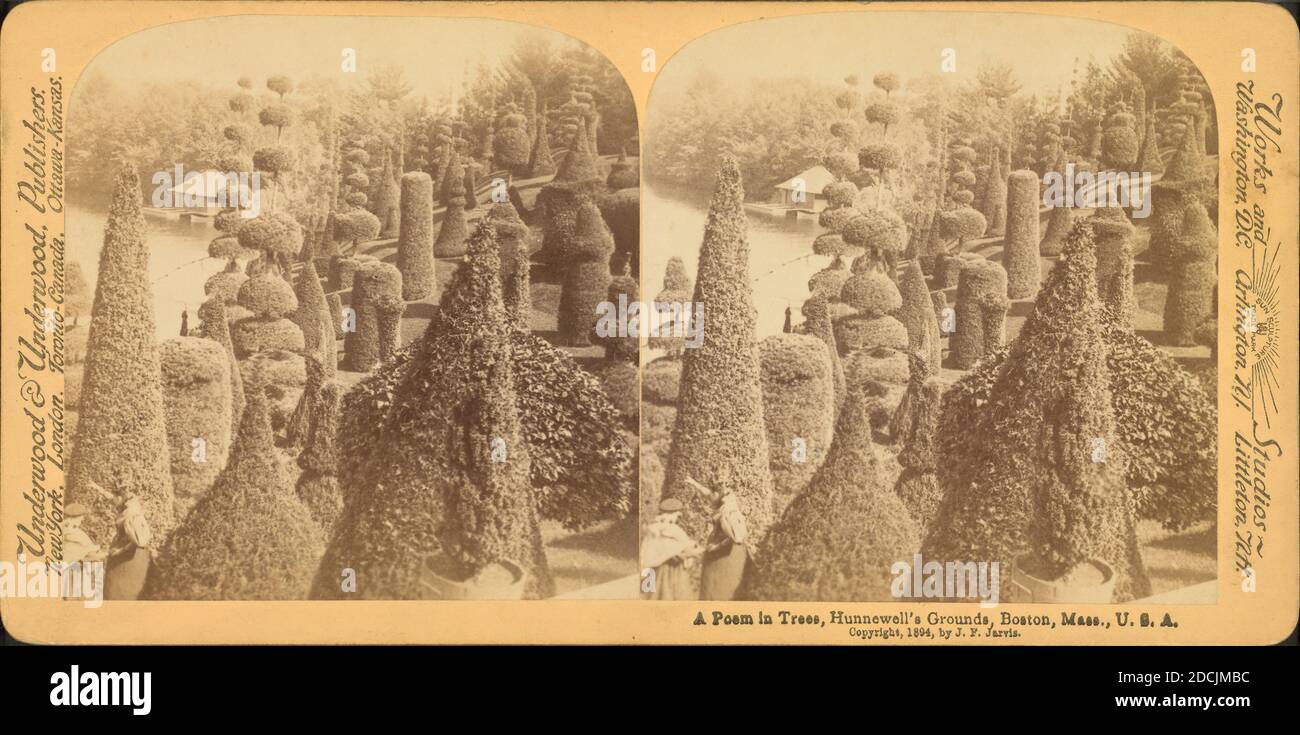 Un poème dans les arbres, Hunnewell's Ground, Wellesley, Mass., États-Unis, image fixe, stéréographes, 1850 - 1930 Banque D'Images