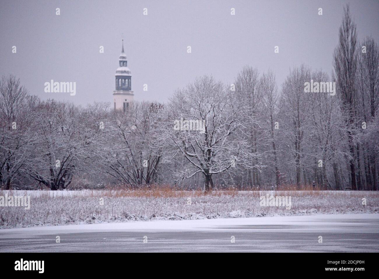 Celle, Dammschwiesen mit Blick auf den Turm der Stadtkirche St. Marien, hiver Banque D'Images