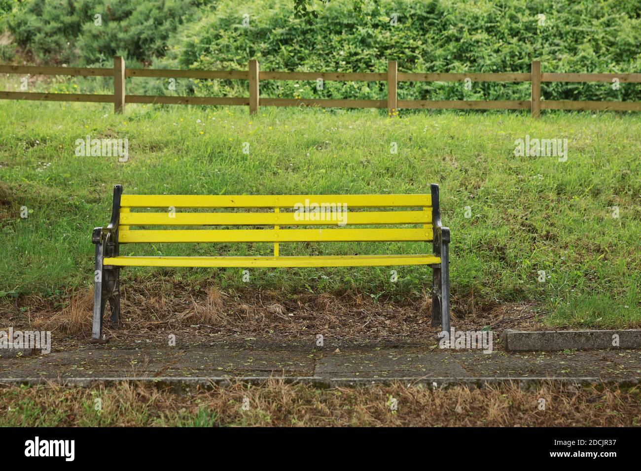 Ancien banc en bois jaune dans une zone ombragée du jardin ou du parc. Banque D'Images