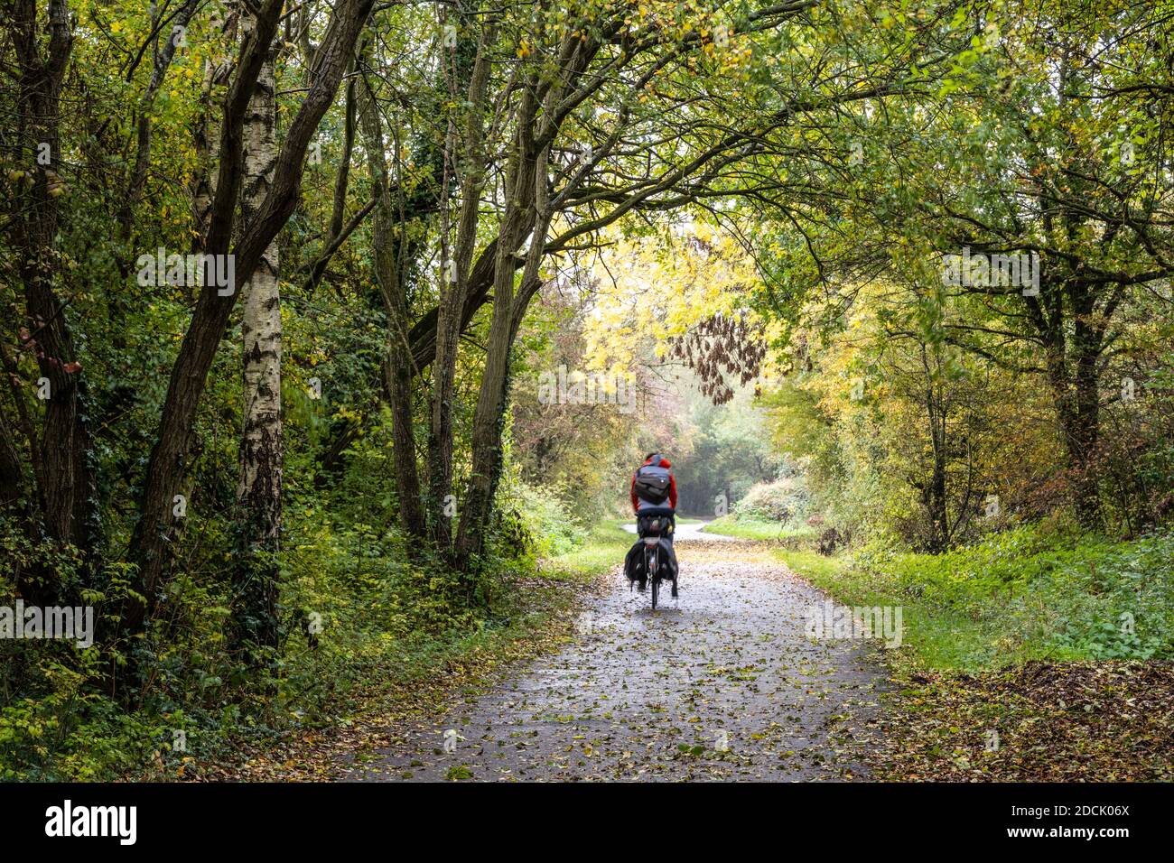 Un cycliste de tourisme traverse un tunnel d'arbres aux couleurs automnales sur la branche Westerleigh du chemin de fer de Bristol et Bath. Banque D'Images