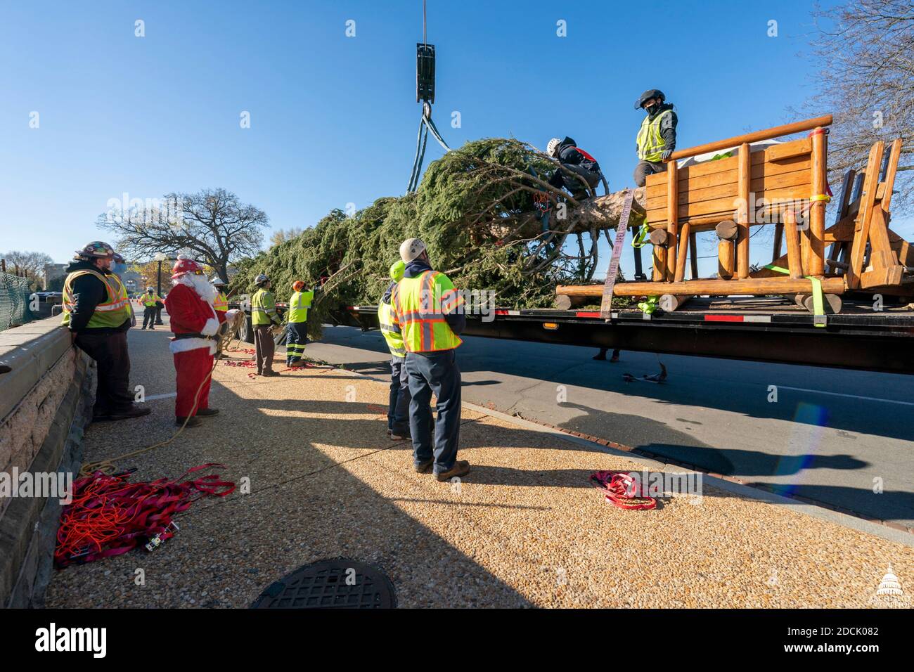 Washington, États-Unis d'Amérique. 20 novembre 2020. Washington, États-Unis d'Amérique. 20 novembre 2020. Une grue lève l'arbre de Noël du Capitole des États-Unis pour le mettre en place sur la pelouse ouest du Capitole le 20 novembre 2020 à Washington DC. L'arbre de Noël est une épinette d'Engelmann de 55 pieds récoltée dans la forêt nationale de Gunnison, au Colorado. Crédit : Thomas Hatzenbuhler/architecte du Capitole/Alamy Live News Banque D'Images