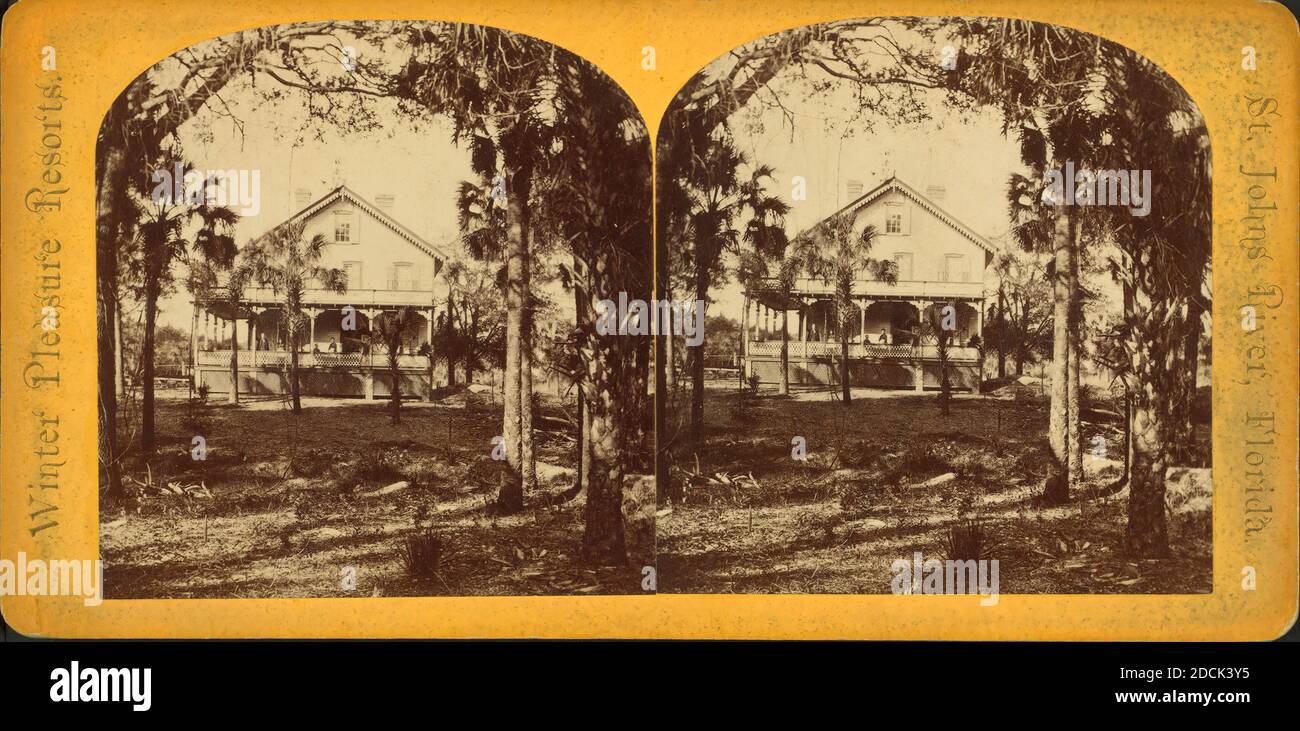 The Oaks, domaine de M.E. Parker, Esq. Fort George Island., image fixe, stéréographes, 1850 - 1930 Banque D'Images