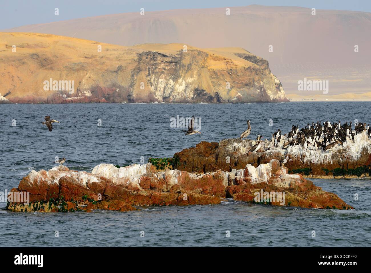 Bird Island dans la réserve nationale de Paracas, Paracas, région de l'ICA, Pérou Banque D'Images