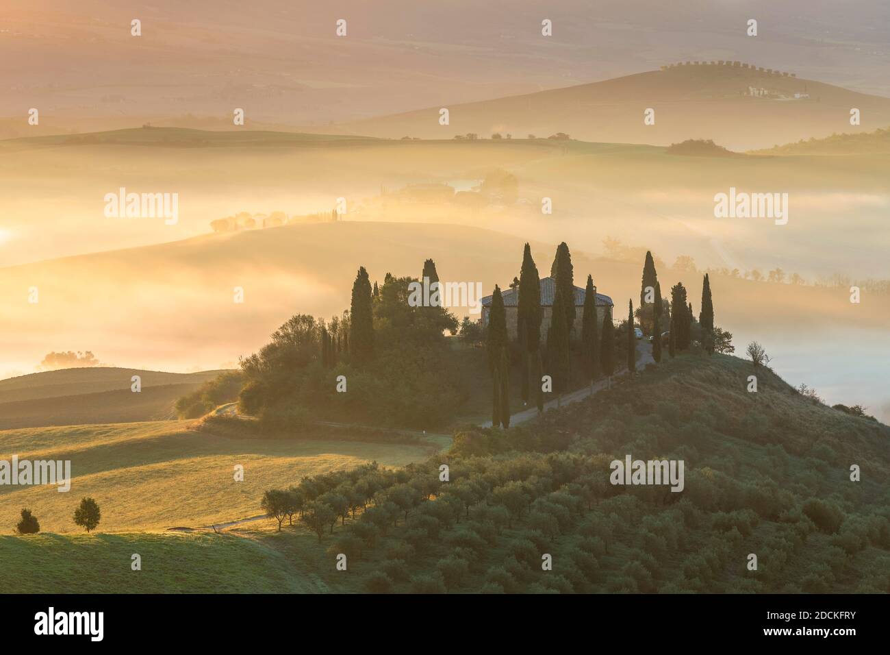 Domaine Podere Belvedere au lever du soleil, Val d'Orcia, San Quirico d'Orcia, Sienne, Toscane, Italie Banque D'Images