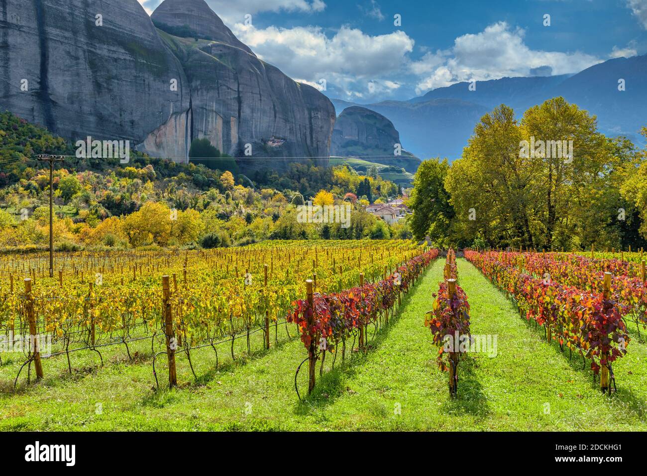 Vue sur le vignoble un magnifique jour d'automne à Meteora, Grèce. Banque D'Images