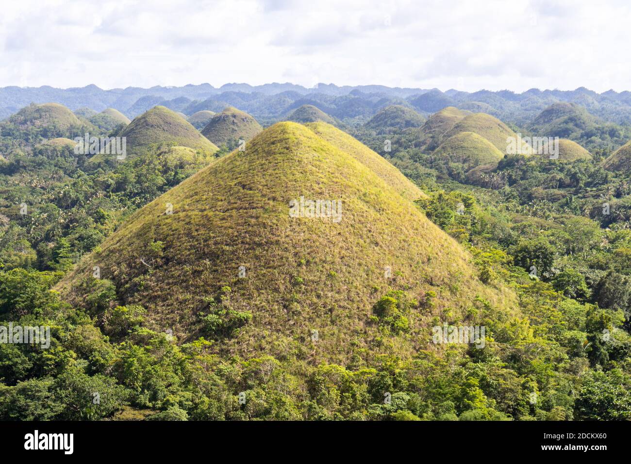 Les collines de chocolat de Bohol aux Philippines Banque D'Images