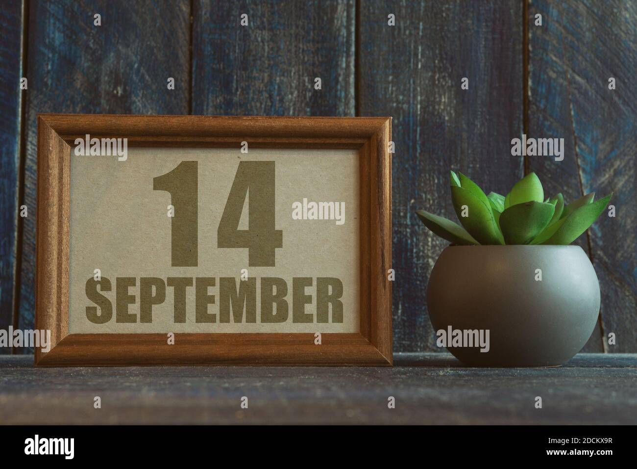 14 septembre. Jour 14 du mois, date dans le cadre à côté de succulent sur fond de bois automne mois, jour de l'année concept Banque D'Images
