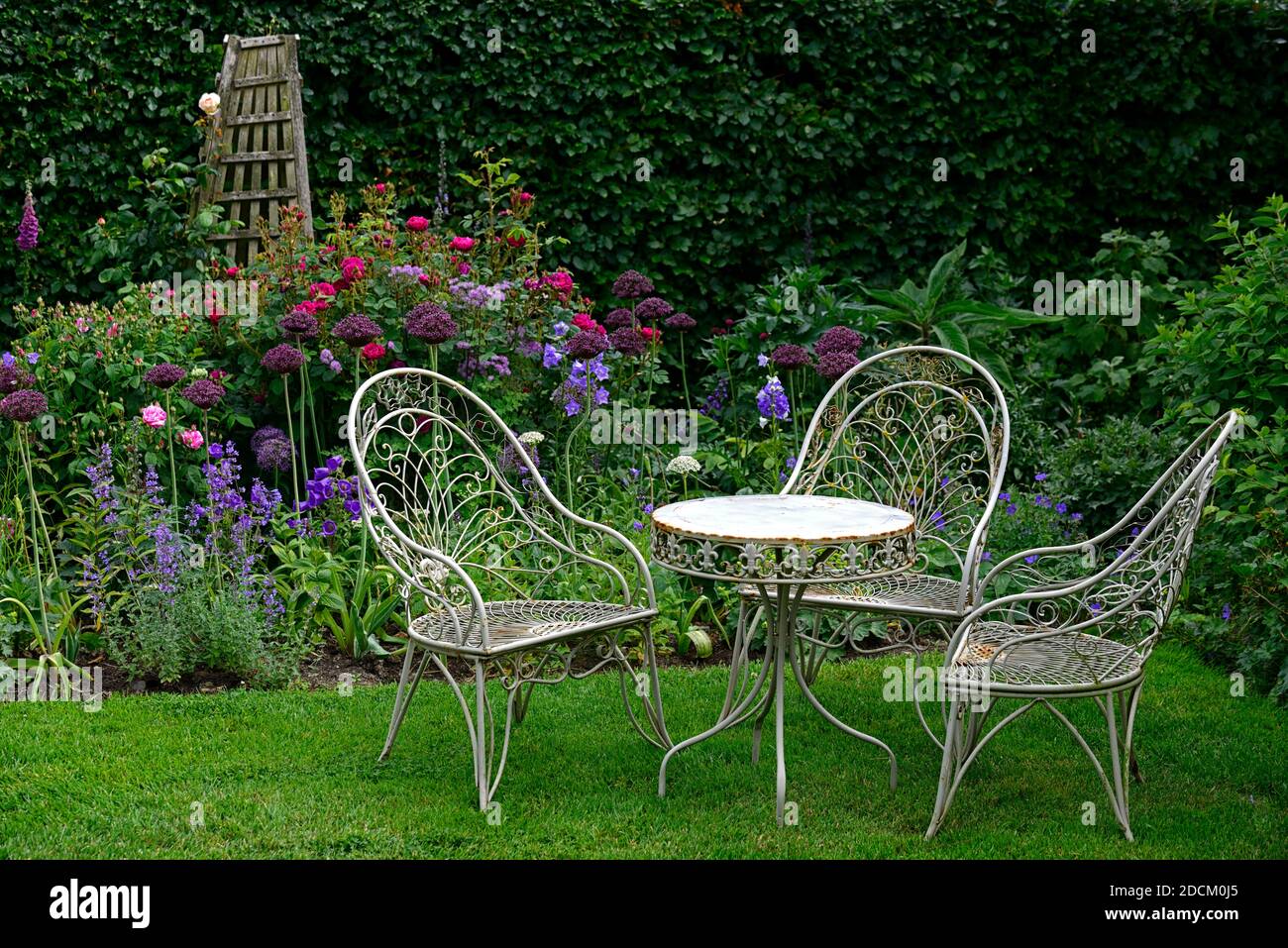 Table et chaises en métal blanc, table et chaises en fer forgé, siège, sièges, jardin, jardin, jardin cottage, nepeta, rose, roses, allium atropurpureum, purp. rose Banque D'Images