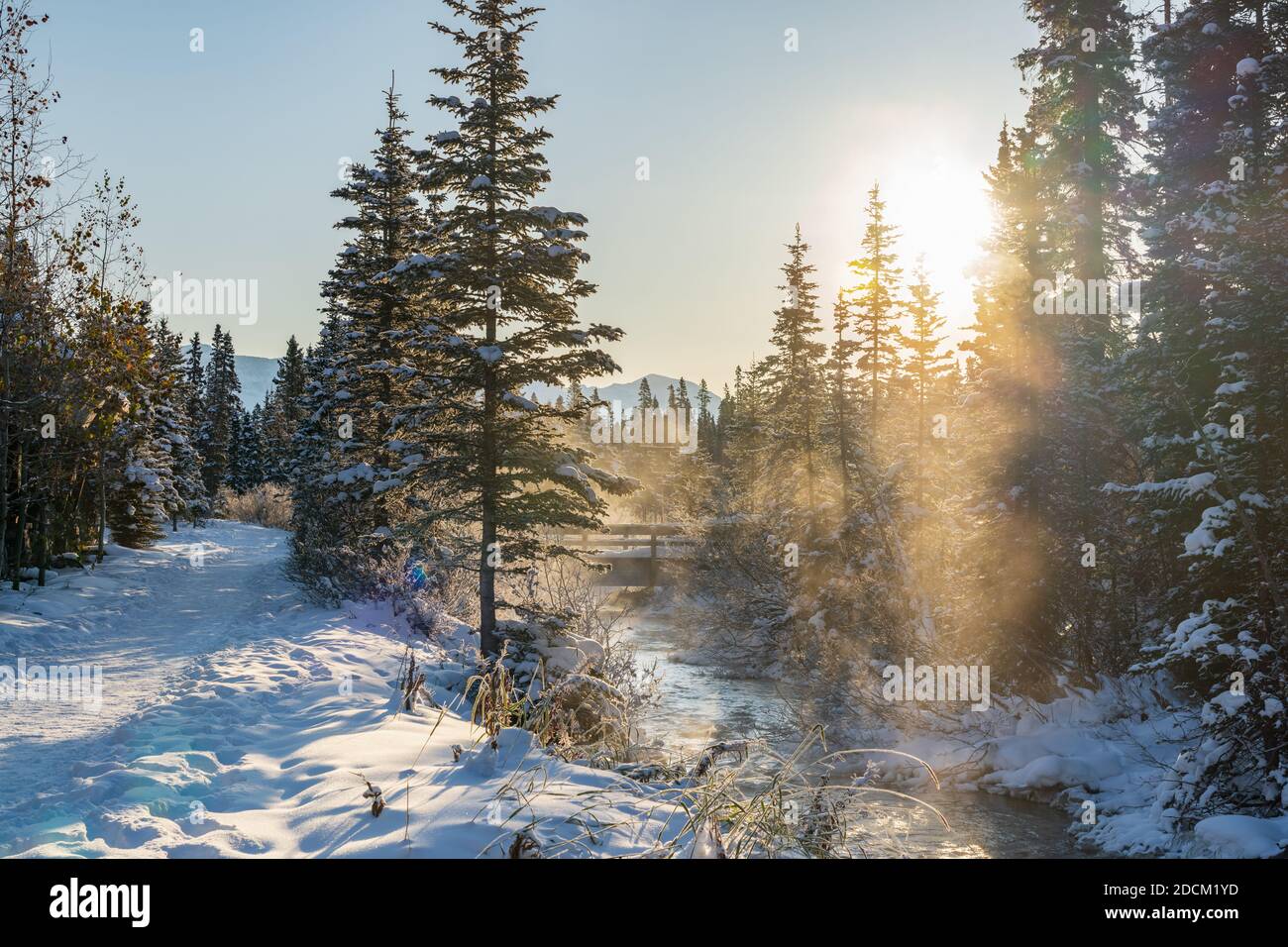 Belle crique tranquille dans la forêt en hiver ensoleillé le matin. Brume flottant sur la surface de la rivière. Ciel bleu clair, pinède recouvert de neige sur la rive Banque D'Images
