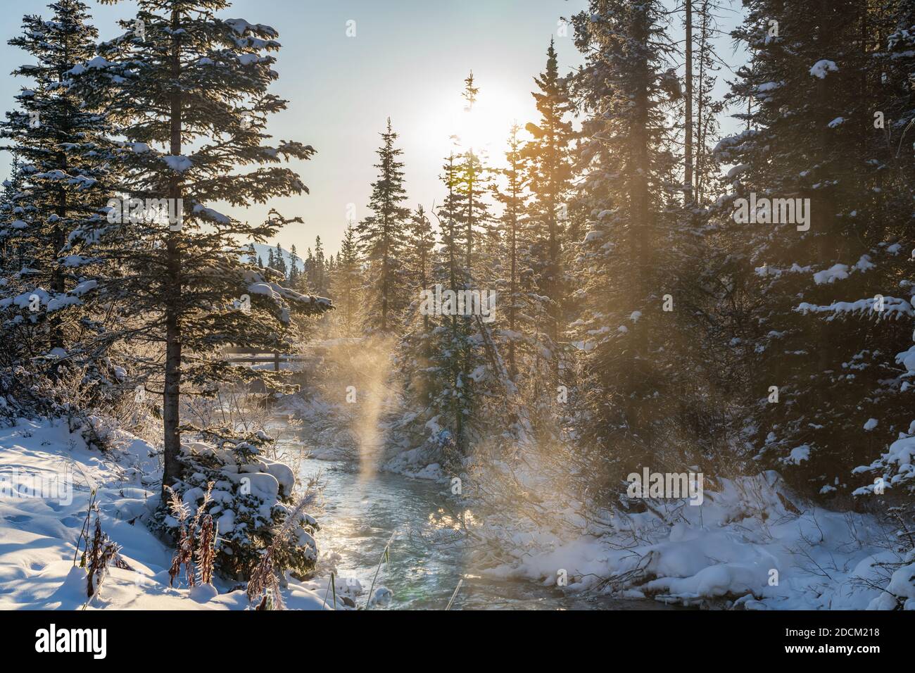 Belle crique tranquille dans la forêt en hiver ensoleillé le matin. Brume flottant sur la surface de la rivière. Ciel bleu clair, pinède recouvert de neige sur la rive Banque D'Images