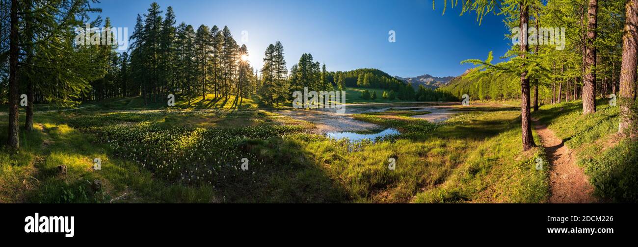 Coucher de soleil dans le parc naturel Queyras avec lac de Roue fin de printemps - début d'été (panoramique). Arvieux, Hautes-Alpes, Alpes françaises, France Banque D'Images