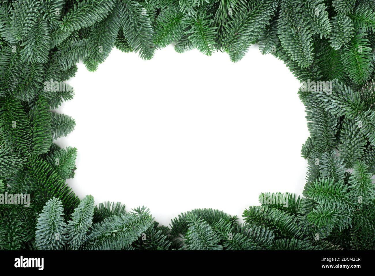 Cadre de Noël traditionnel vert sapin noble cadre isolé espace de copie de fond blanc pour le texte Banque D'Images