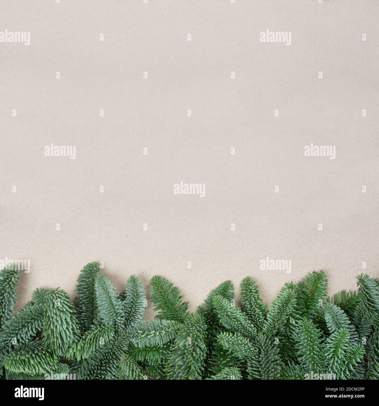 Sapin de noël traditionnel vert cadre en bordure de sapin noble sur l'artisanat papier arrière-plan espace de copie pour le texte Banque D'Images