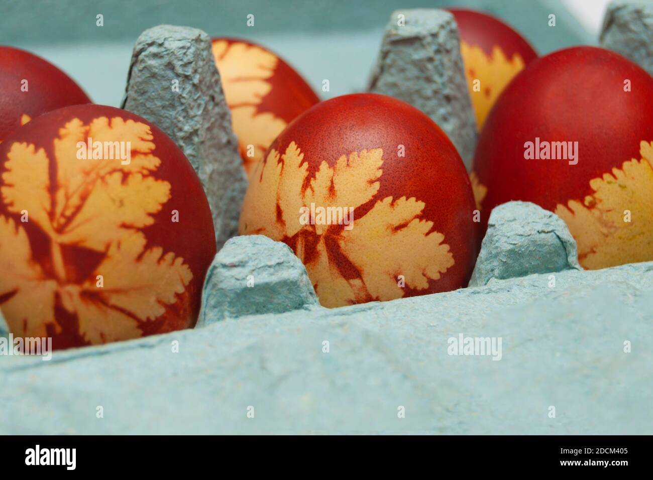 Œufs de Pâques bruns décoratifs avec feuilles de dessin, dans un coffrage d'oeufs Banque D'Images