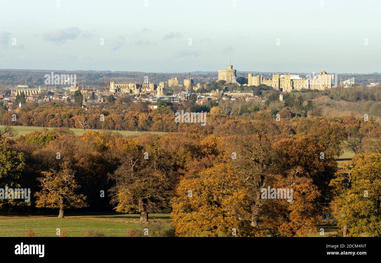 Vue du grand parc de Windsor au château de Windsor à la fin de l'automne ou en novembre avec des arbres matures d'automne colorés en premier plan, au Royaume-Uni Banque D'Images