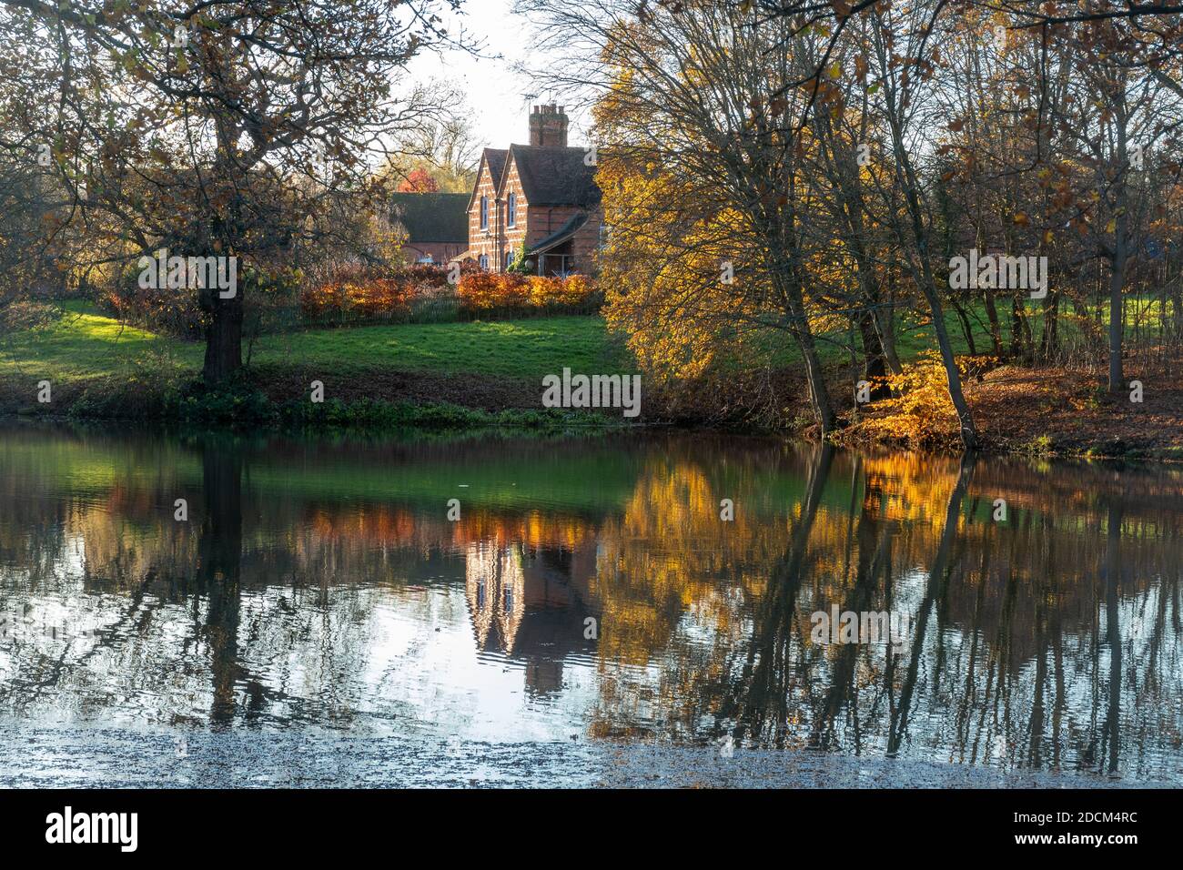 Prince consorts Pond à Windsor Great Park à la fin de l'automne ou en novembre, Berkshire, Royaume-Uni Banque D'Images