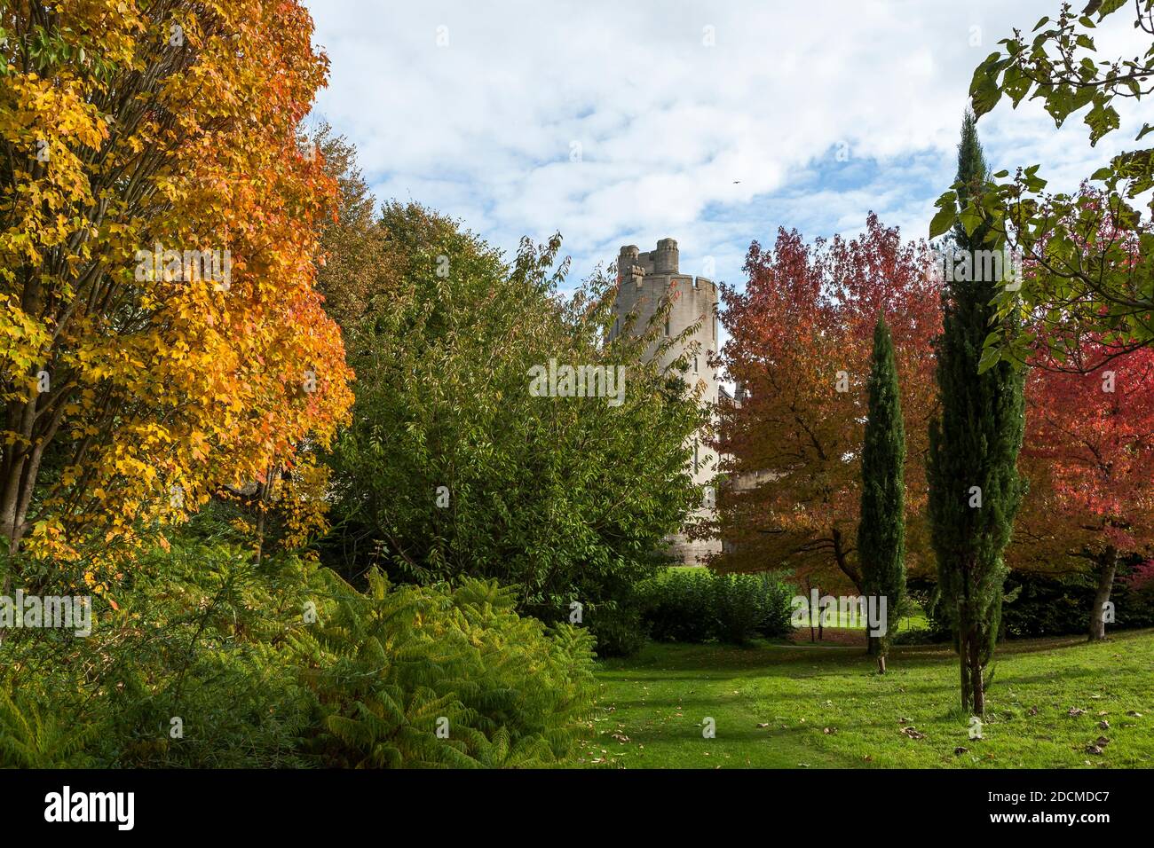 Couleur d'automne dans les jardins du château, Arundel, West Sussex, Angleterre, Royaume-Uni, avec un aperçu de l'une des tours du château d'Arundel Banque D'Images