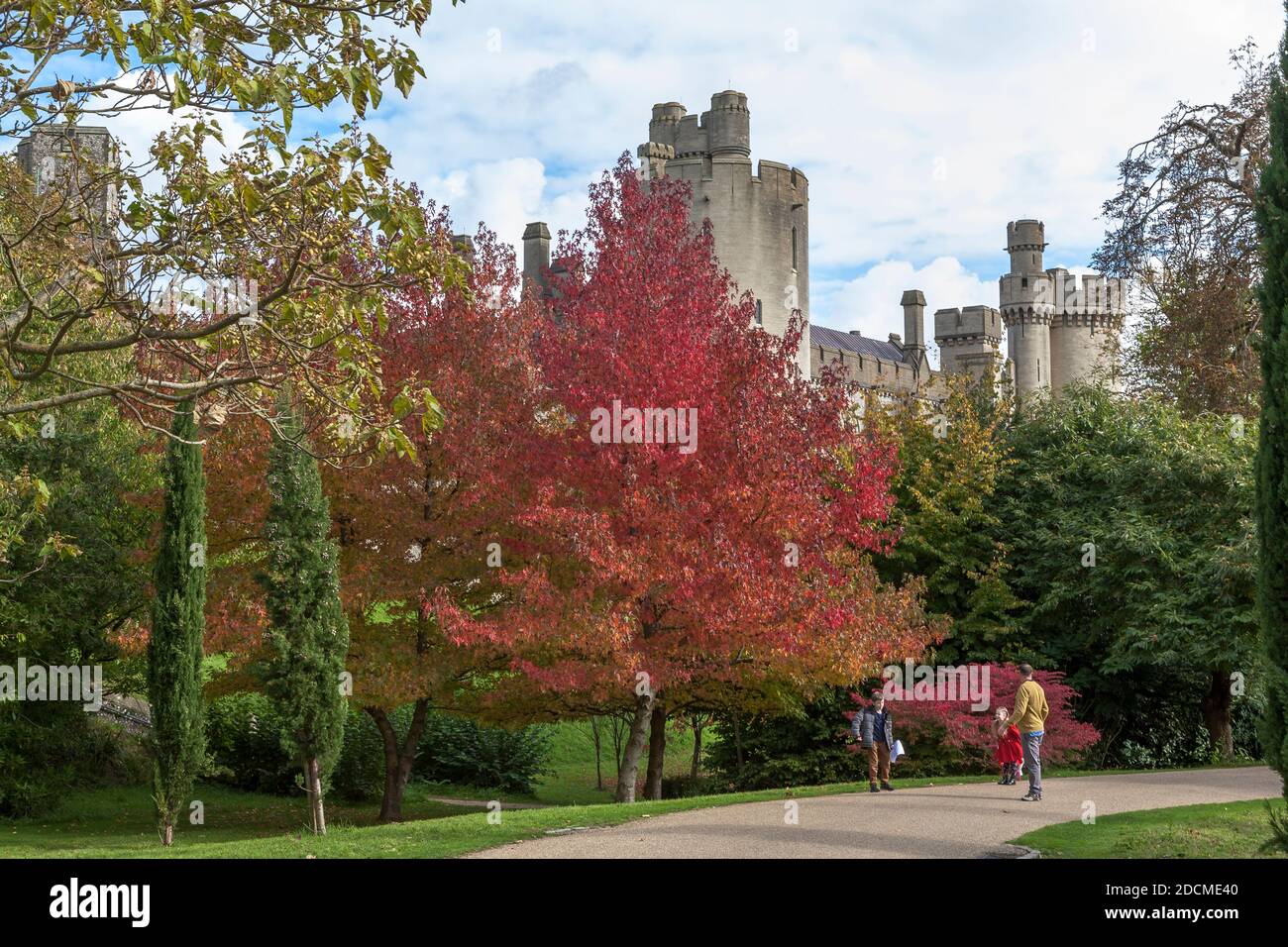 Château d'Arundel depuis les jardins du château, Arundel, West Sussex, Angleterre : couleur d'automne sur la sucrine américaine (Liquidambar styraciflua) au premier plan Banque D'Images