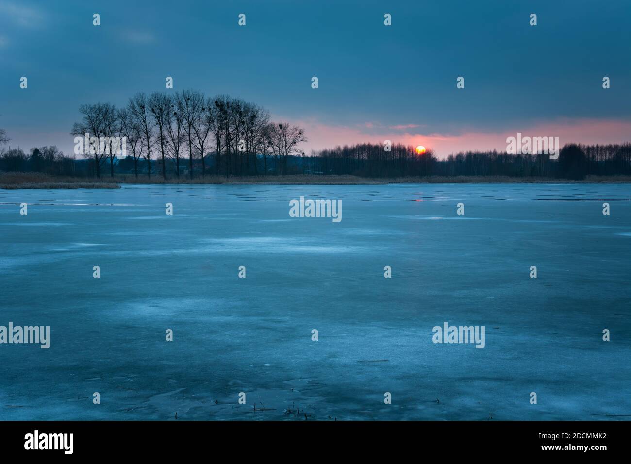 Lac gelé, arbres et ciel du soir avec coucher de soleil, vue en hiver Banque D'Images