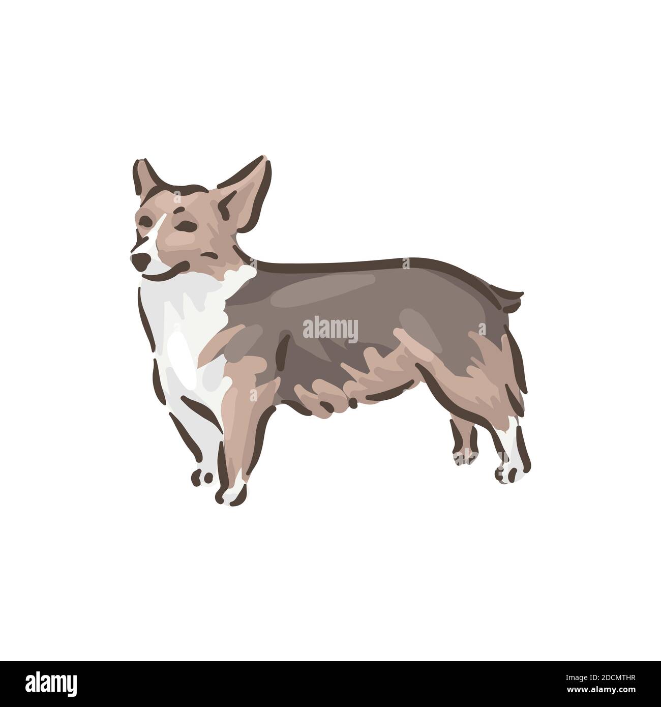 Mignon chien Gallois Corgi Pembroke race illustration vectorielle de pedigree Illustration de Vecteur