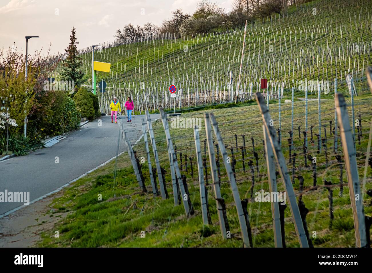 Conference de Weil am Rhein, Allemagne Banque D'Images