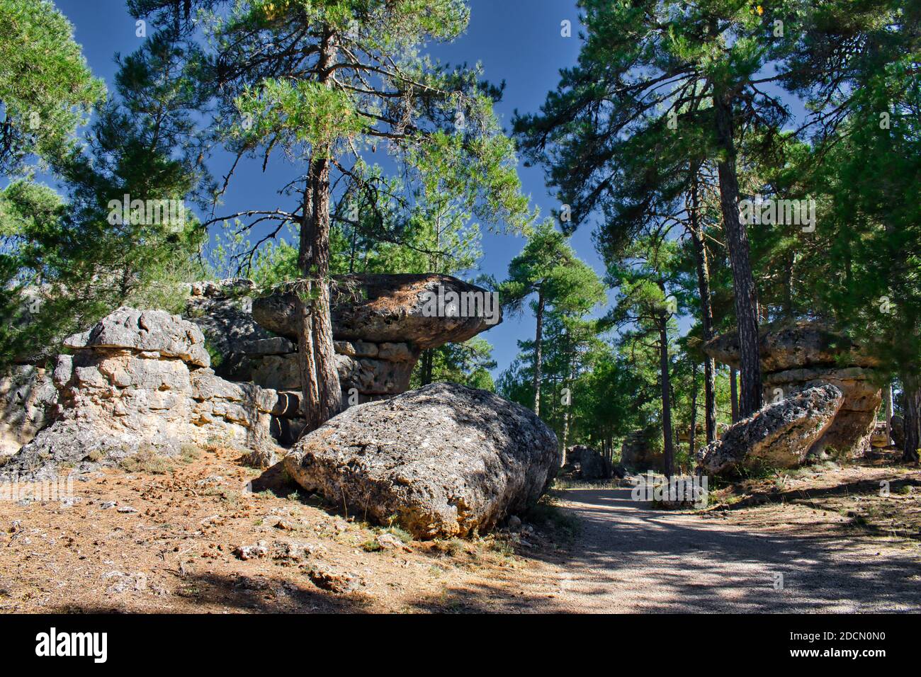 Route de terre entre les rochers et les pins dans l'Enchanted Ville de Cuenca Banque D'Images