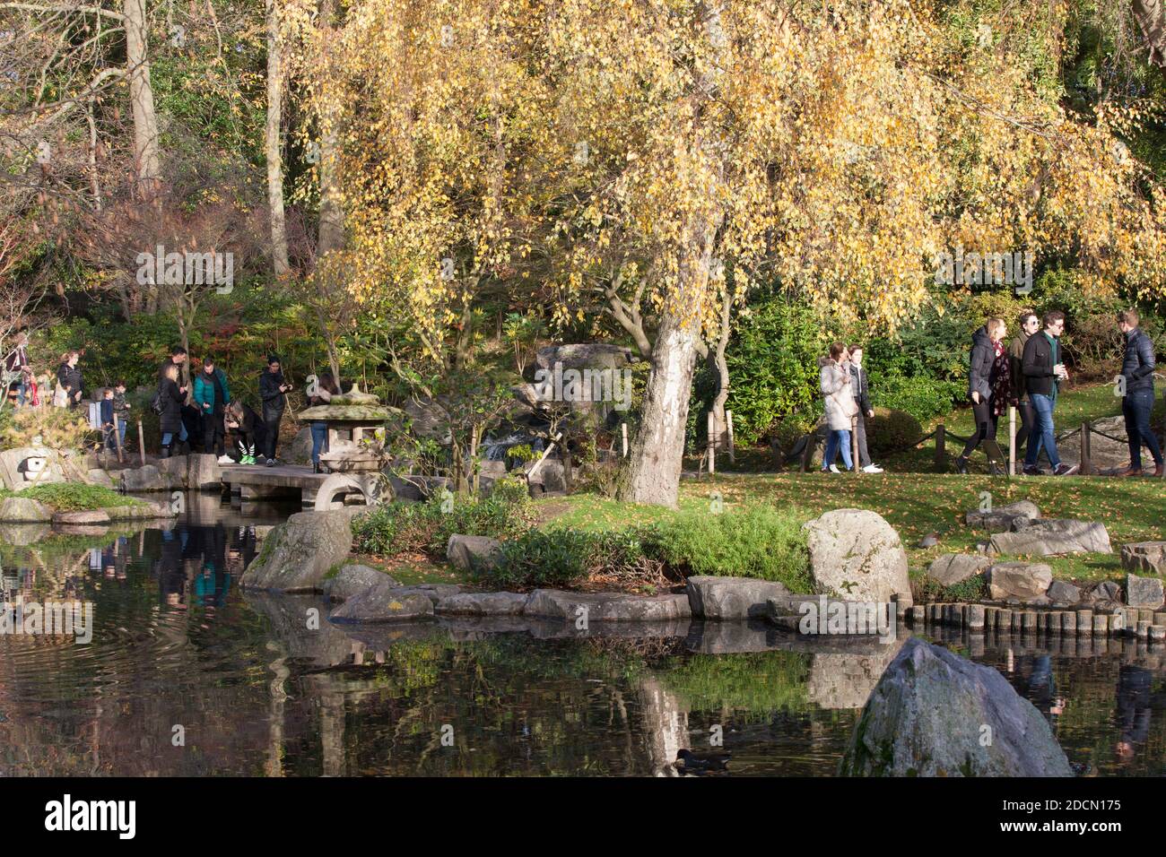 UK Weather, Londres, 22 novembre 2020 : un dimanche ensoleillé à Londres, les gens affluent vers le Holland Park, où des files d'attente se sont formées dans le jardin de Kyoto et les visiteurs ont photographié des écureuils et des paons.très peu de personnes portaient des masques de visage mais la plupart ont tenté de distancer. Des annonces sont prévues demain (lundi) au sujet d'un nouveau système de niveau de restrictions de covid qui sera mis en œuvre une fois le verrouillage actuel terminé le 2 décembre. Anna Watson/Alay Live News Banque D'Images