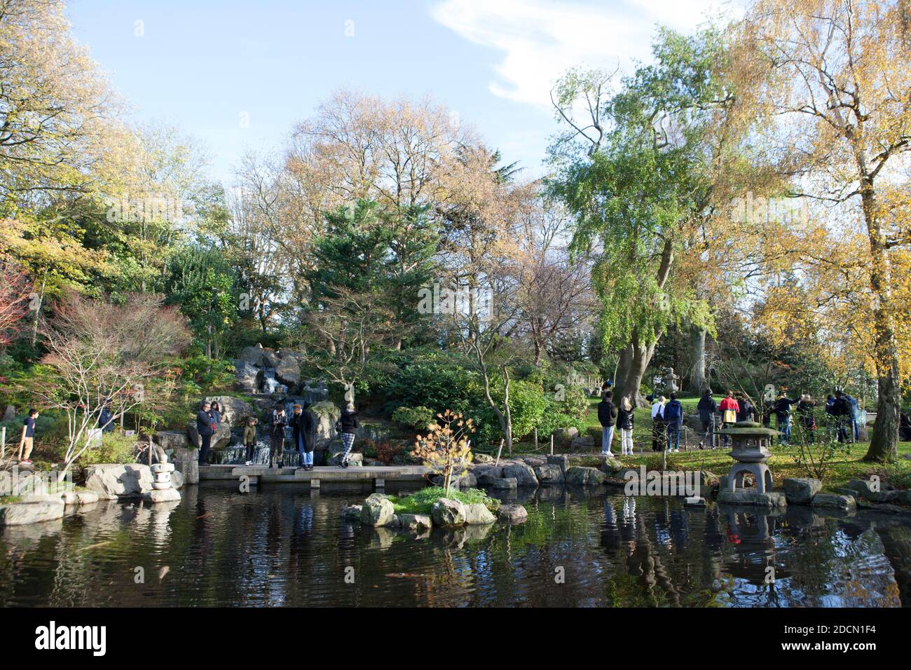 UK Weather, Londres, 22 novembre 2020 : un dimanche ensoleillé à Londres, les gens affluent vers le Holland Park, où des files d'attente se sont formées dans le jardin de Kyoto et les visiteurs ont photographié des écureuils et des paons.très peu de personnes portaient des masques de visage mais la plupart ont tenté de distancer. Des annonces sont prévues demain (lundi) au sujet d'un nouveau système de niveau de restrictions de covid qui sera mis en œuvre une fois le verrouillage actuel terminé le 2 décembre. Anna Watson/Alay Live News Banque D'Images