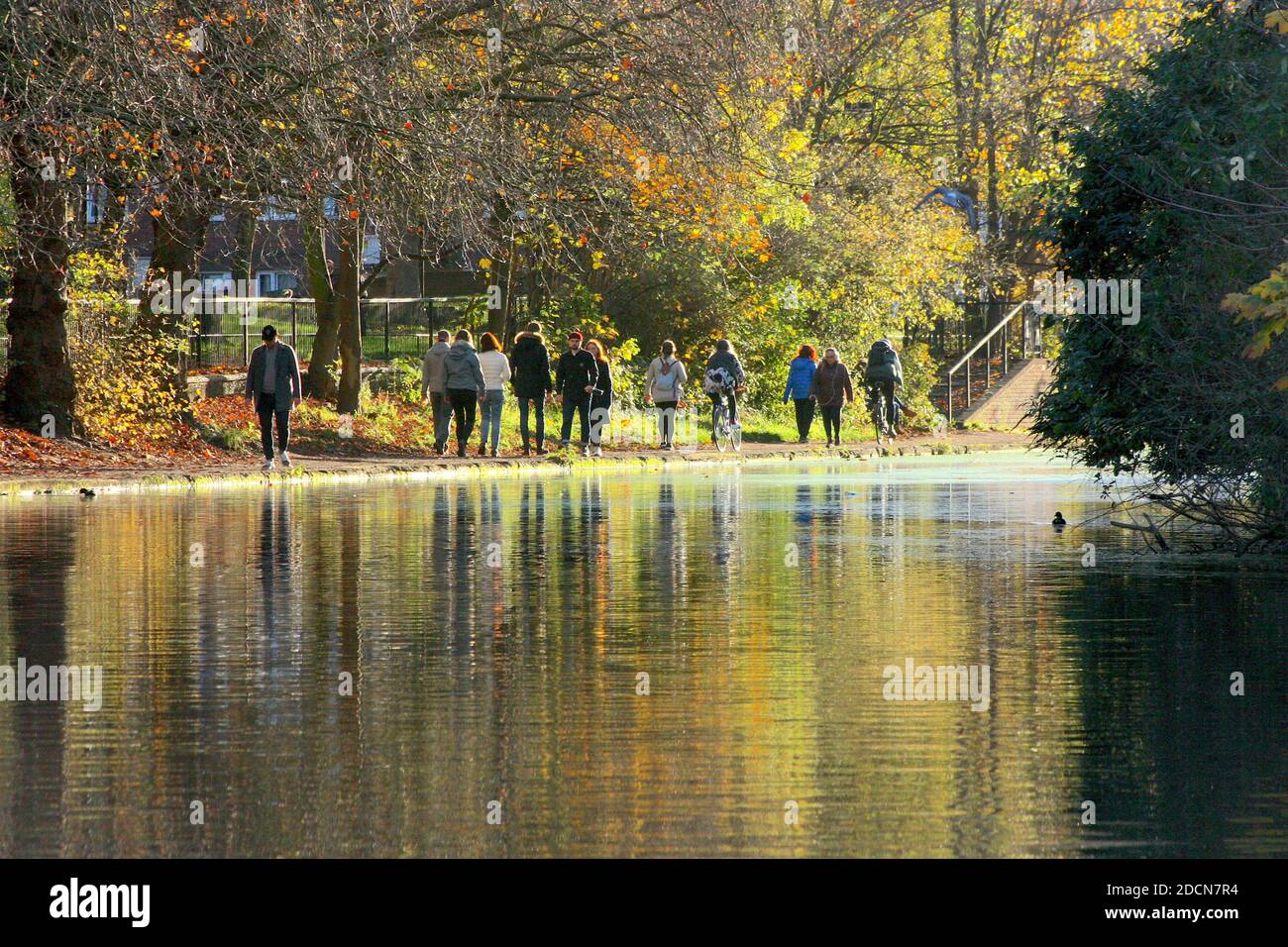 Couleurs d'automne le long du canal Regent's, Londres, Angleterre, Royaume-Uni Banque D'Images