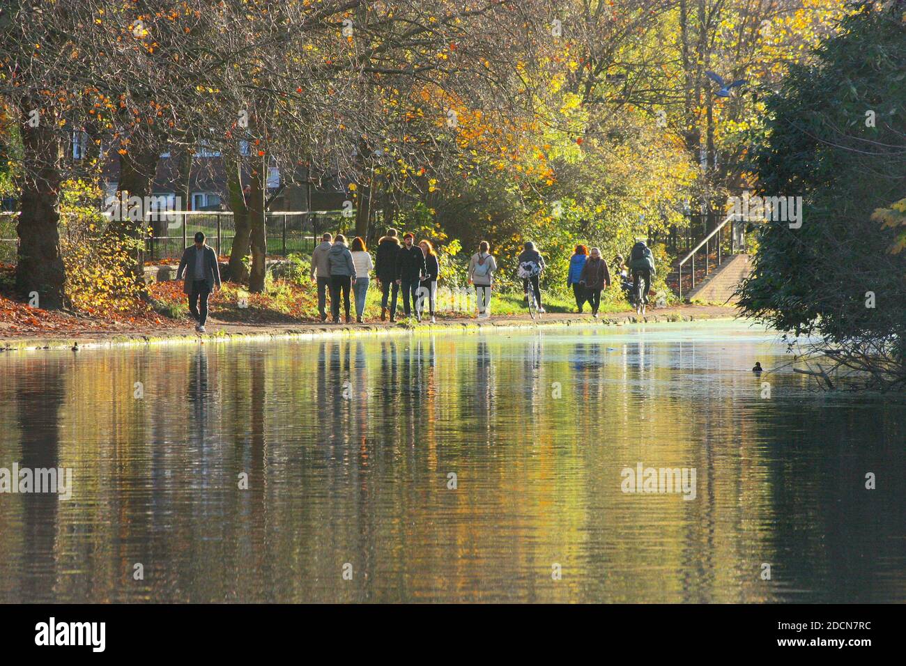 Couleurs d'automne le long du canal Regent's, Londres, Angleterre, Royaume-Uni Banque D'Images