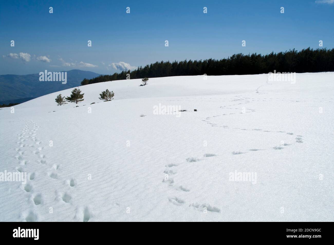 Espagne, Andalousie, Sierra Nevada, Mulhacen Banque D'Images