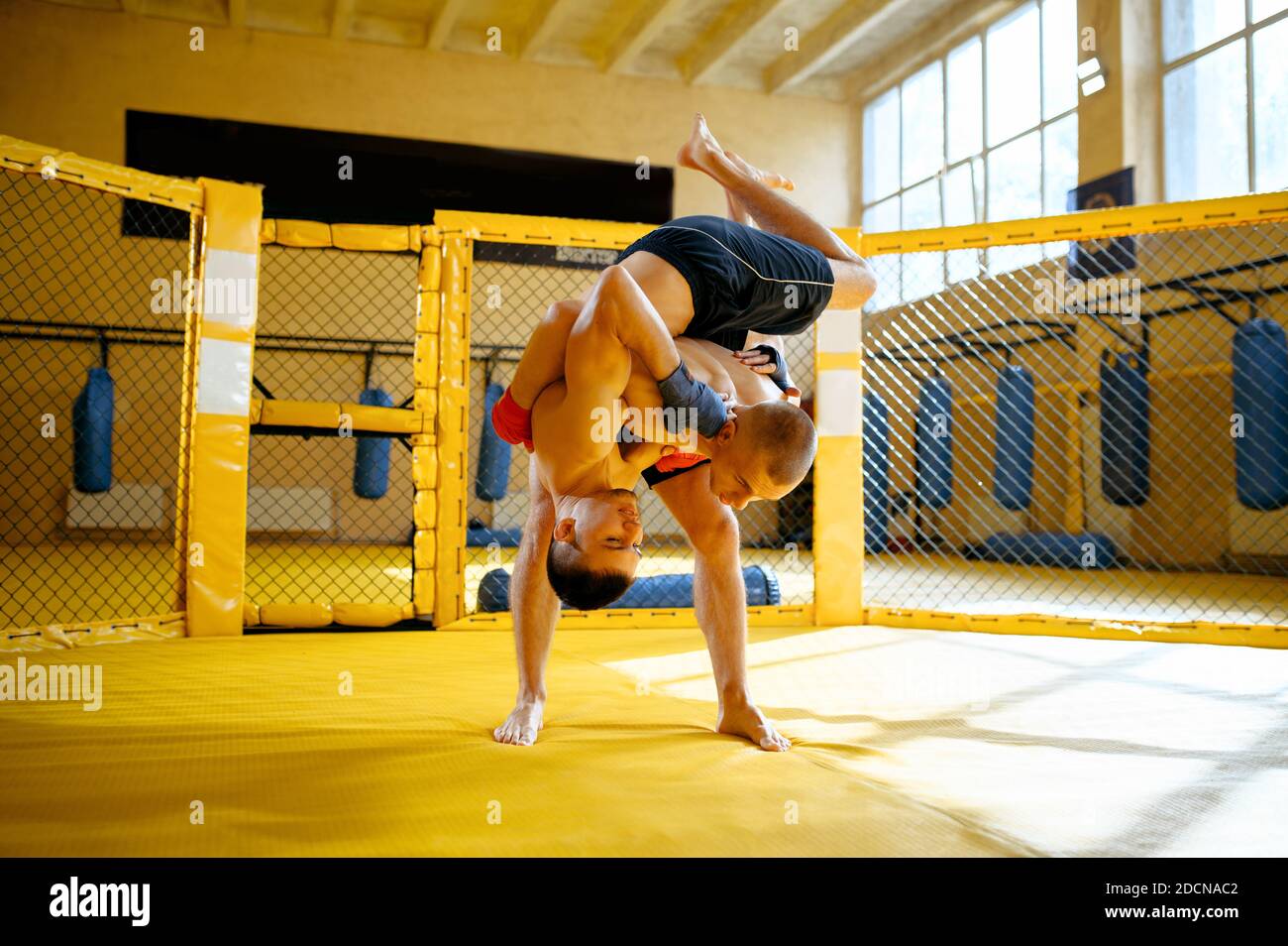 Deux combattants MMA mâles se disputent dans une cage Banque D'Images