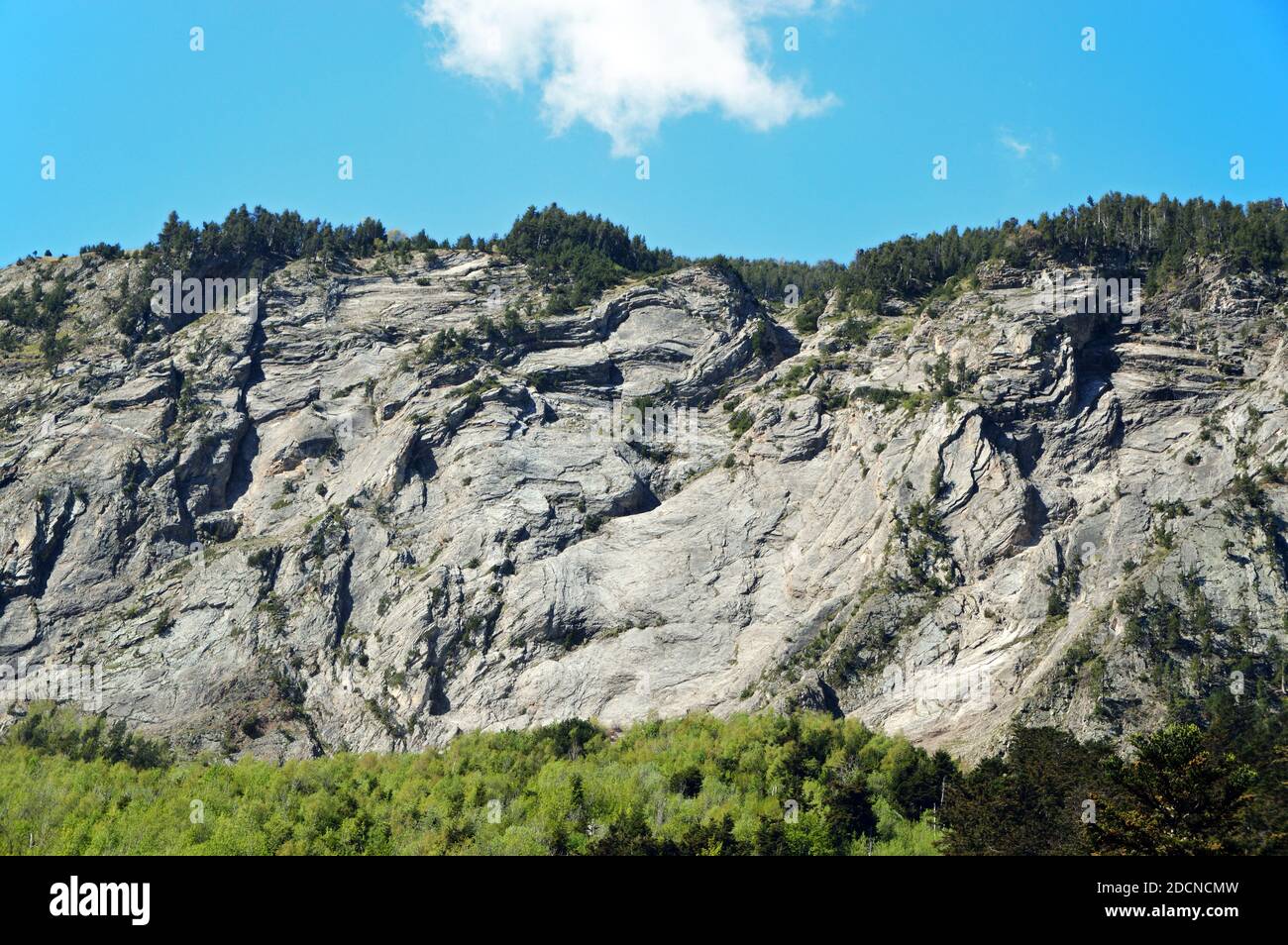 La forêt de Gerdar est une forêt d'épicéa située sur les pentes méridionales des Pyrénées, dans le parc national d'Aigüestortes et d'Estany de Sant Maurici. Banque D'Images