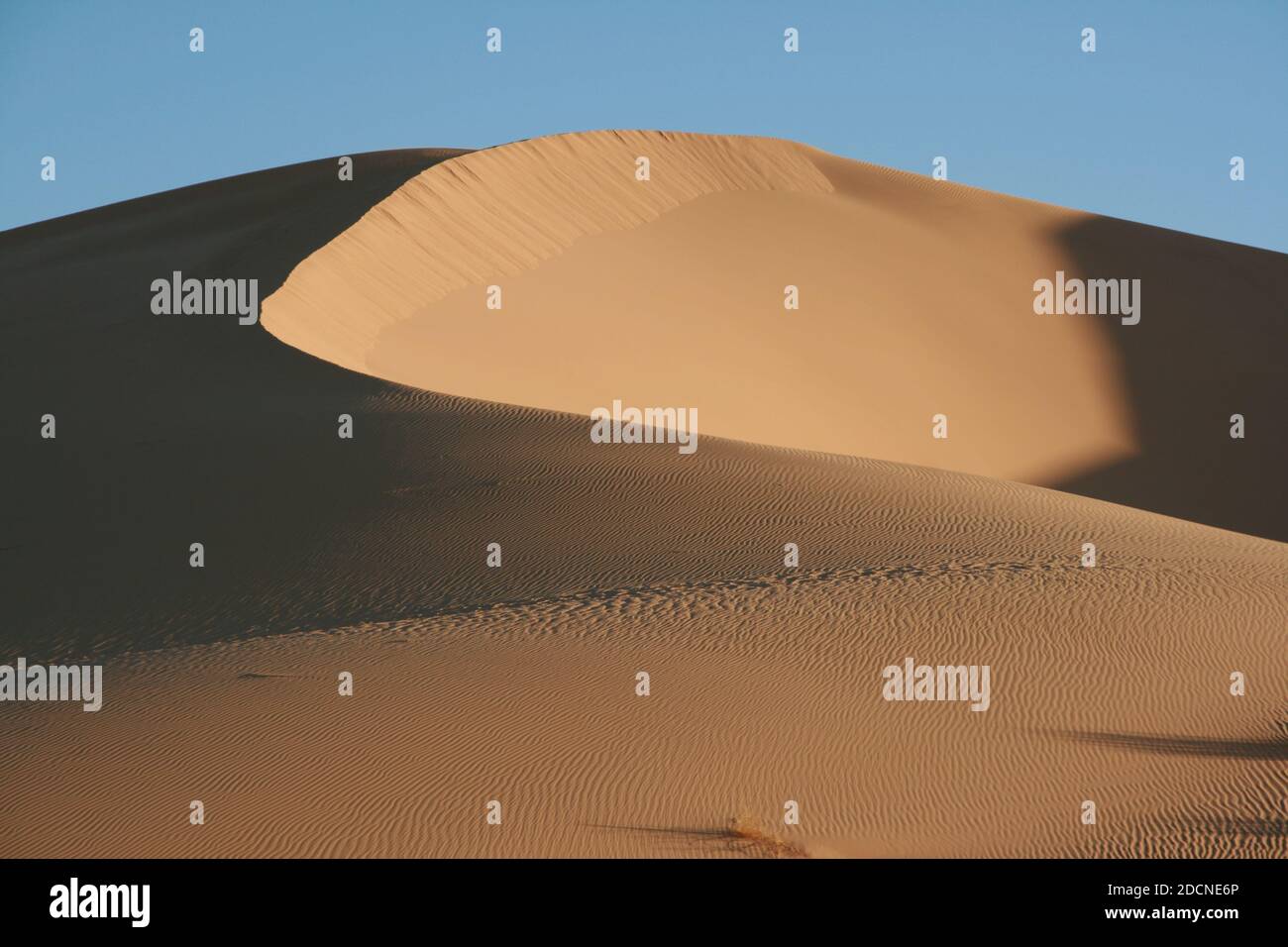 Dunes dans le désert du Sahara au coeur de l'Afrique, Erg Admer, Algérie Banque D'Images