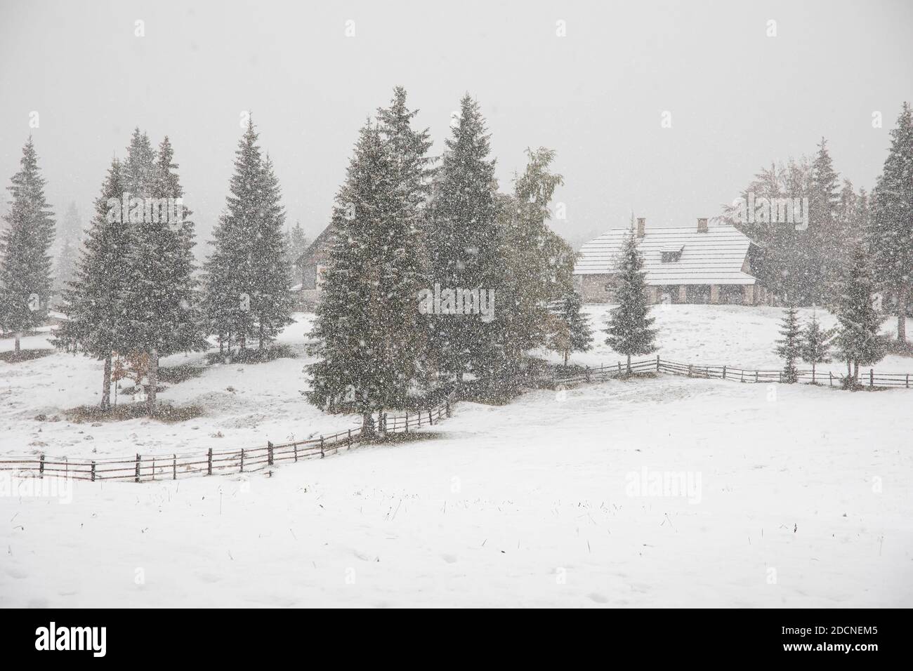 Village, clôture et arbres pendant la tempête de neige, Slovénie Banque D'Images