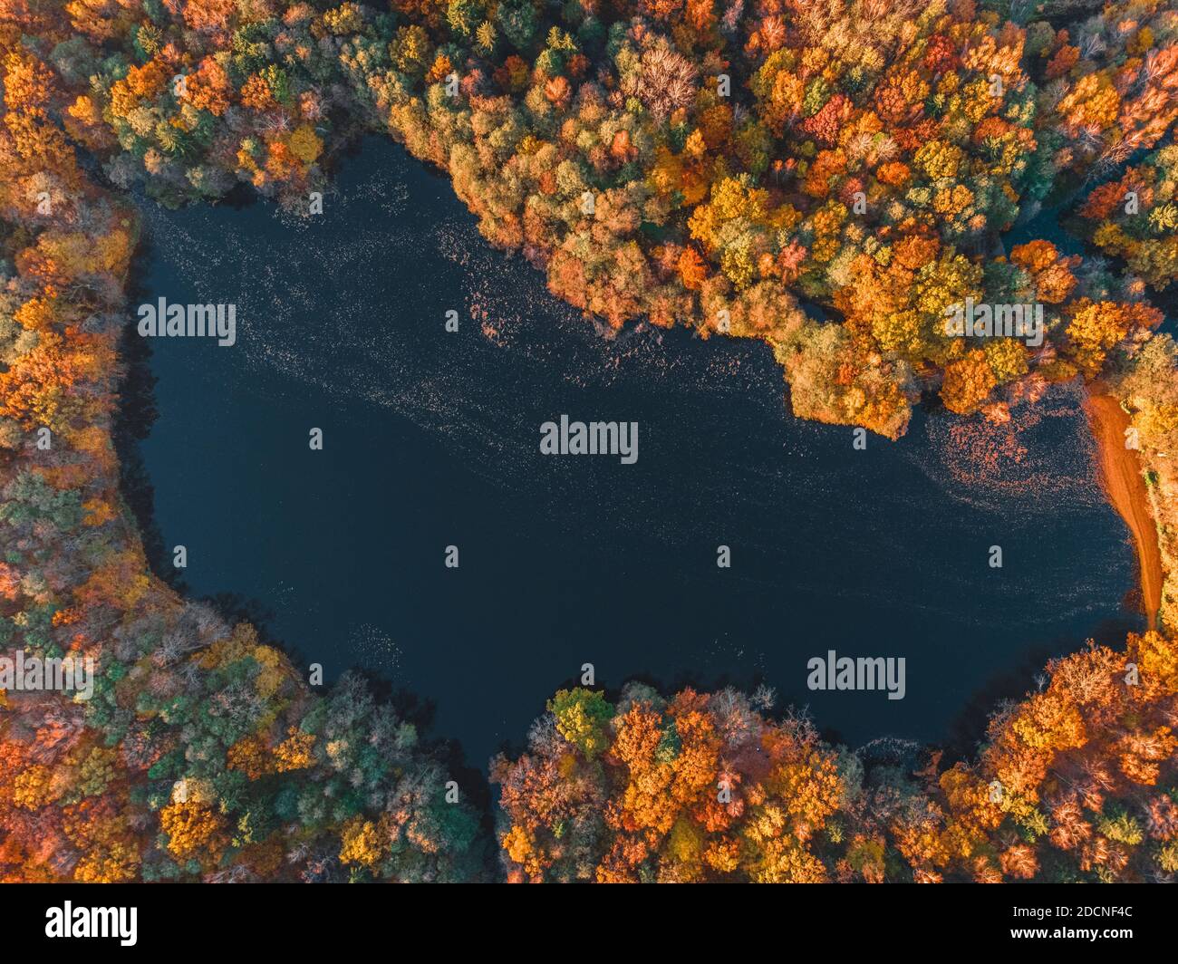 Lac en automne forêt vue aérienne de drone. Arbres aux feuilles colorées orange, rouge, jaune et verte. Concept nature Banque D'Images