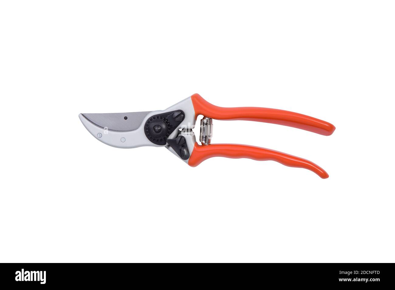 ciseaux de jardinage rouges isolés sur fond blanc. Sécateur de jardin rouge. Sécateurs de jardin . Pince Banque D'Images