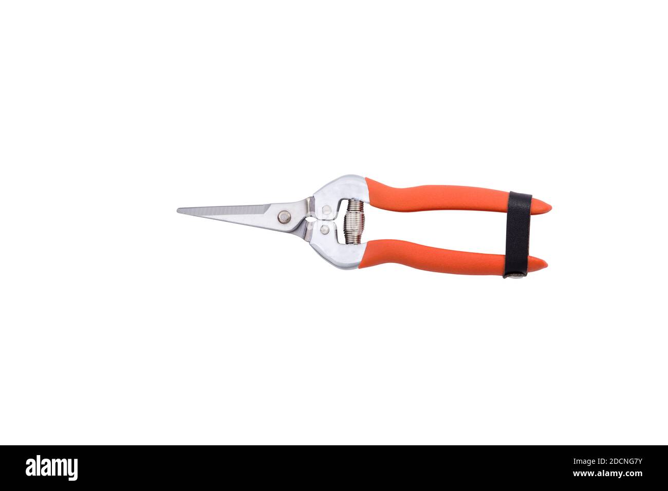 ciseaux de jardinage rouges isolés sur fond blanc. Sécateur de jardin rouge. Sécateurs de jardin . Pince Banque D'Images