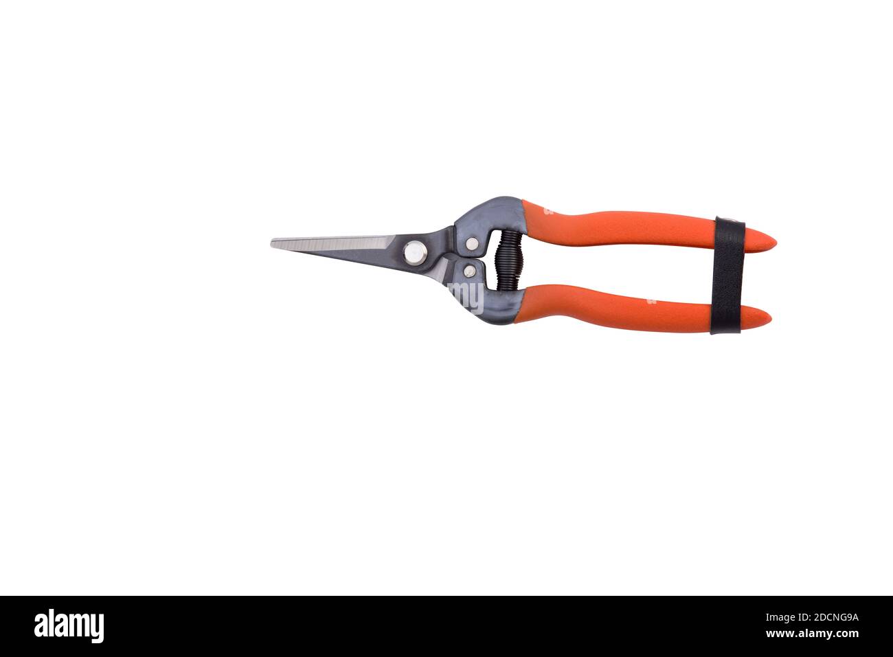 ciseaux de jardinage rouges isolés sur fond blanc. Sécateur de jardin rouge. Sécateurs de jardin . Pince Banque D'Images
