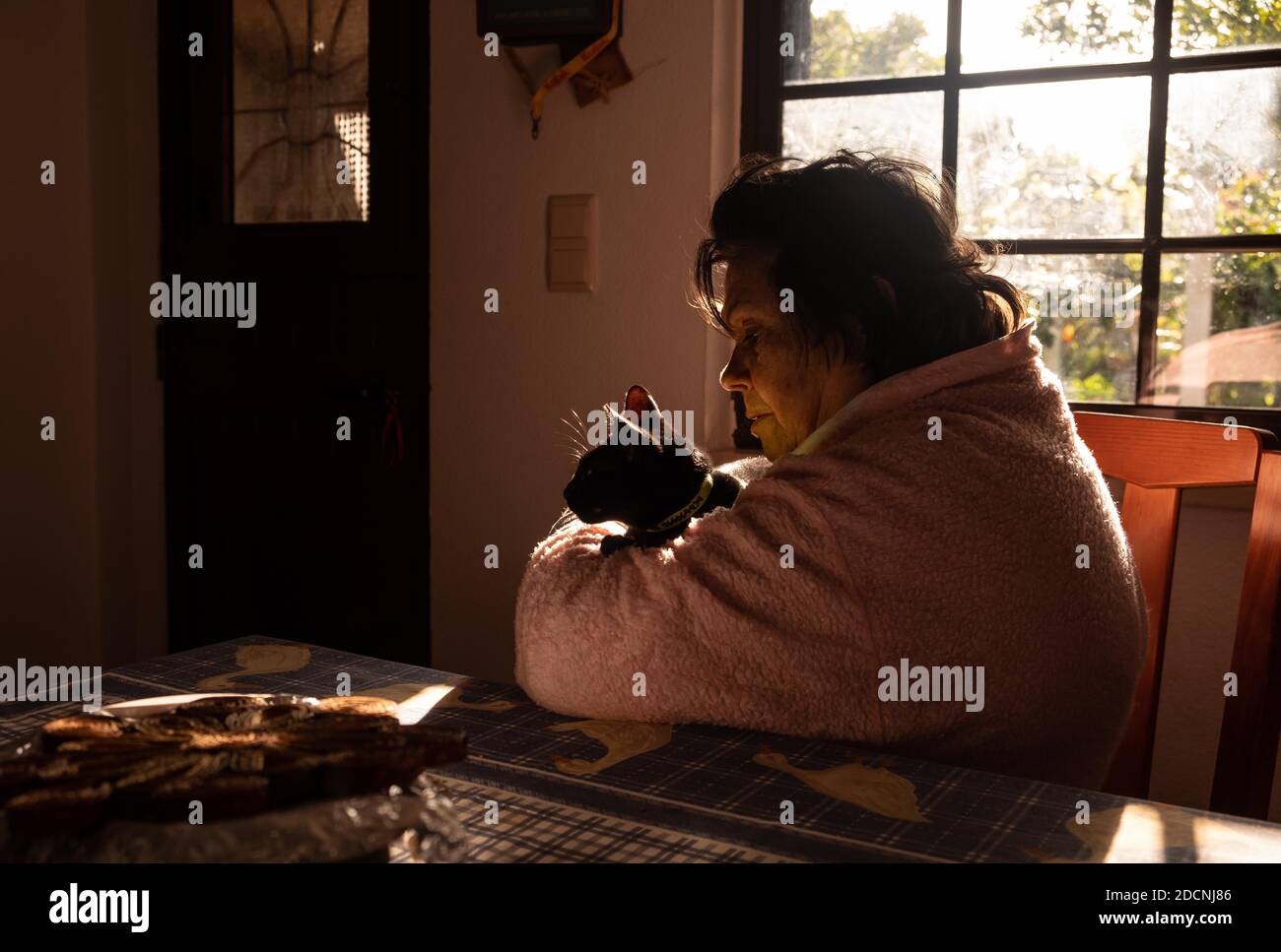 Femme âgée embrassant son chat dans son salon près d'une fenêtre, pendant la quarantaine à domicile 2020 pour l'épidémie de coronavirus COVID-19. Banque D'Images