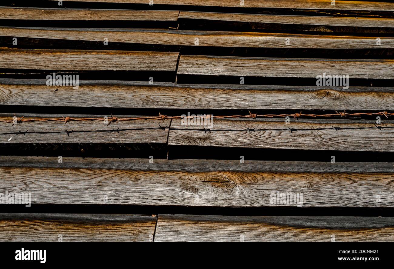 Revêtement en bois avec fil barbelé rouillé. Banque D'Images