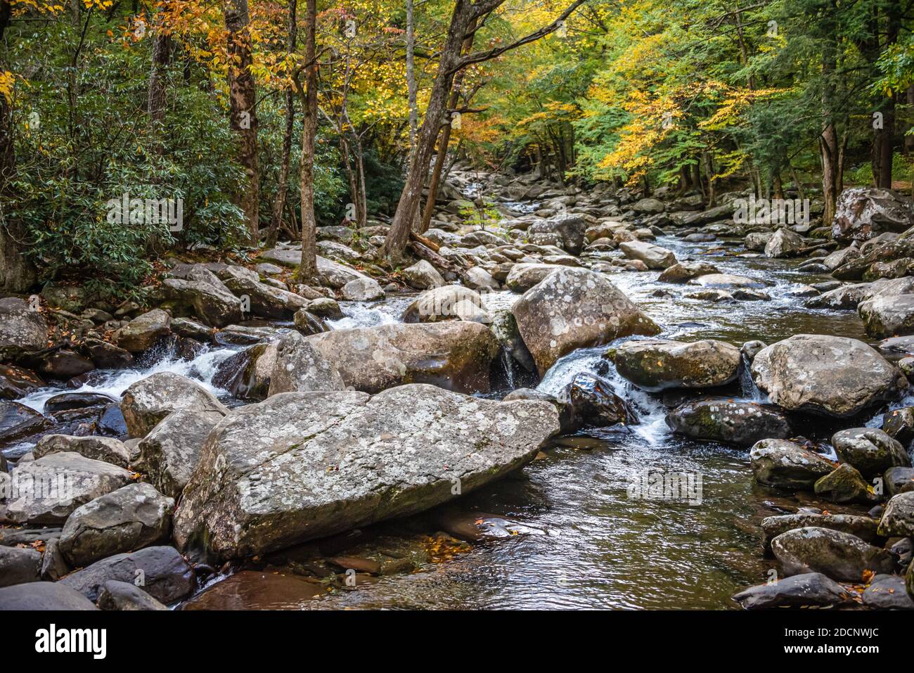 Little Pigeon River à la zone de pique-nique de Chimneys dans le parc national des Great Smoky Mountains près de Gatlinburg, Tennessee. (ÉTATS-UNIS) Banque D'Images